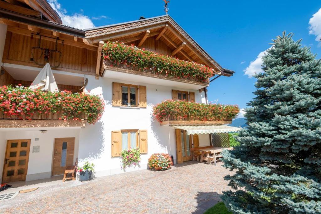 Appartamento Mansarda Patrizia E Franco Val Di Sole Commezzadura Exterior foto